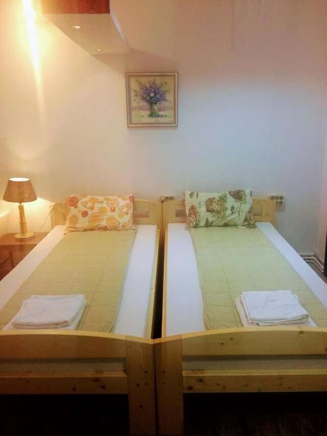 Хостелы Casa Roz Клуж-Напока-3