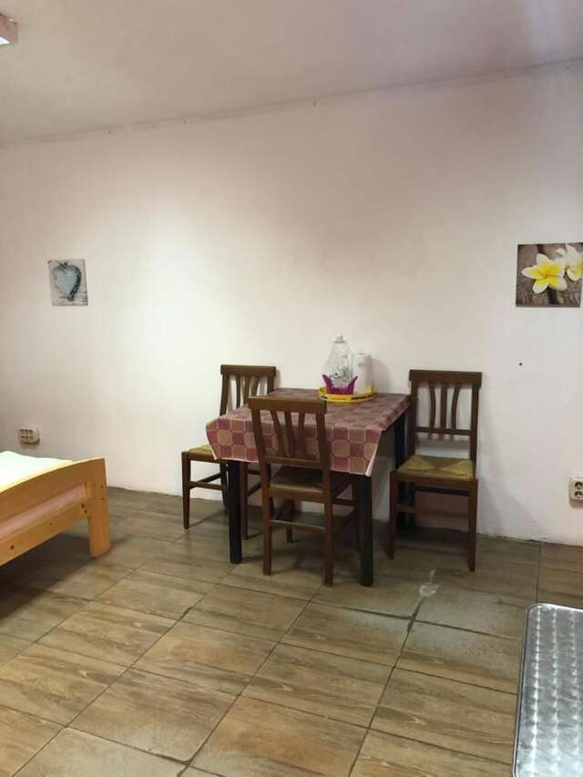Хостелы Casa Roz Клуж-Напока-13