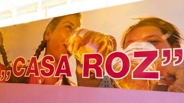 Хостелы Casa Roz Клуж-Напока-9